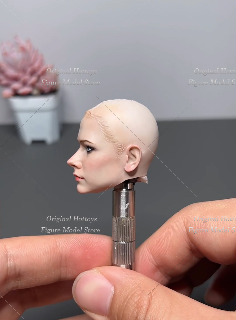 1/6 Scale Female Soldier Head  - Beauty Makeup Edit 评论和价格