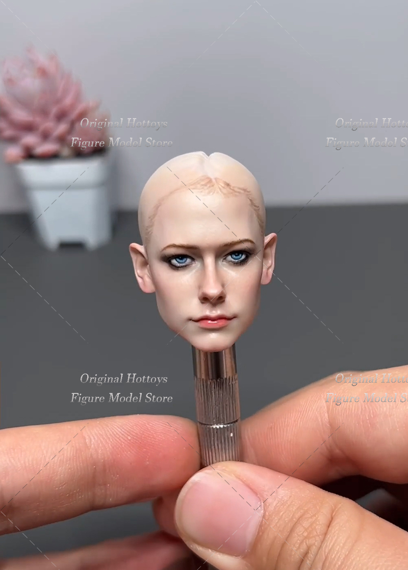1/6 Scale Female Soldier Head  - Beauty Makeup Edit 评论和价格